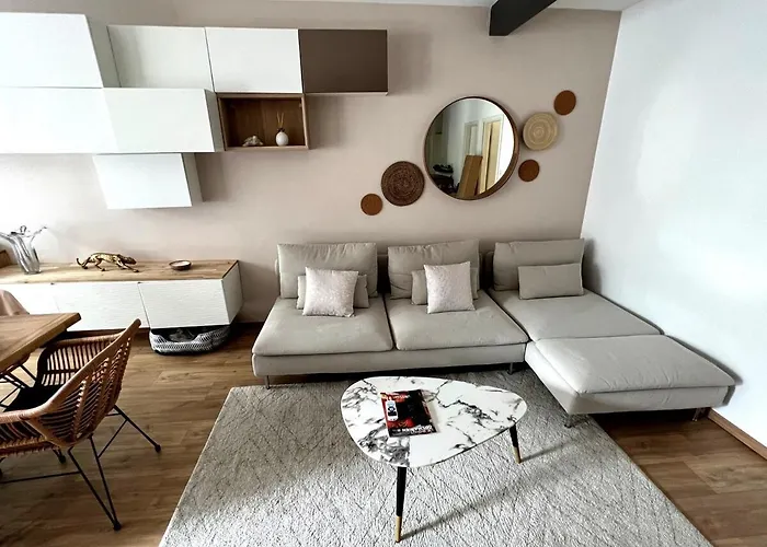 Privat bolig Belle Cosy, Proche Centre-ville Et Gare Colmar